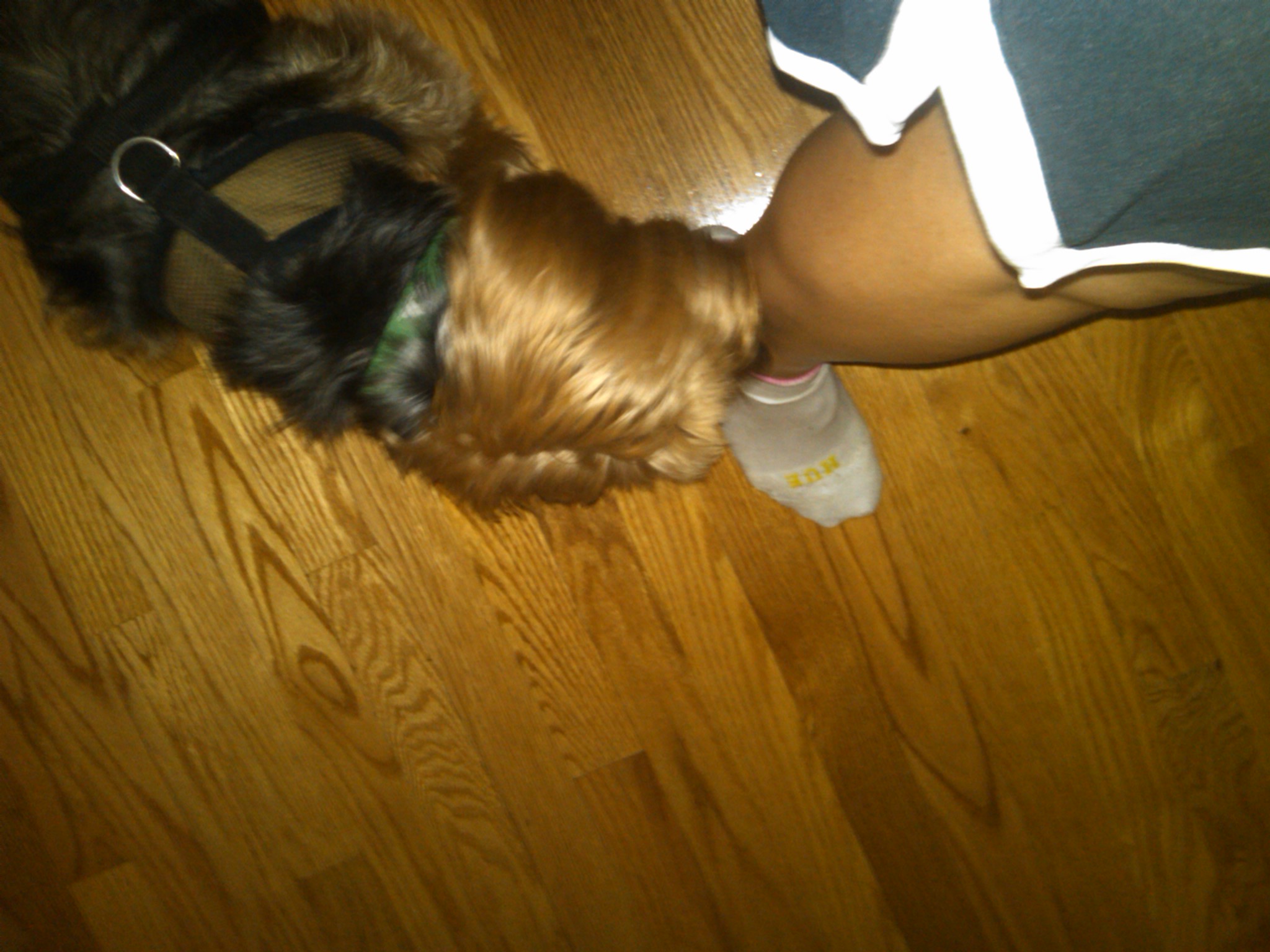 Dog Sitting Day 3: Leg licking and the beach …