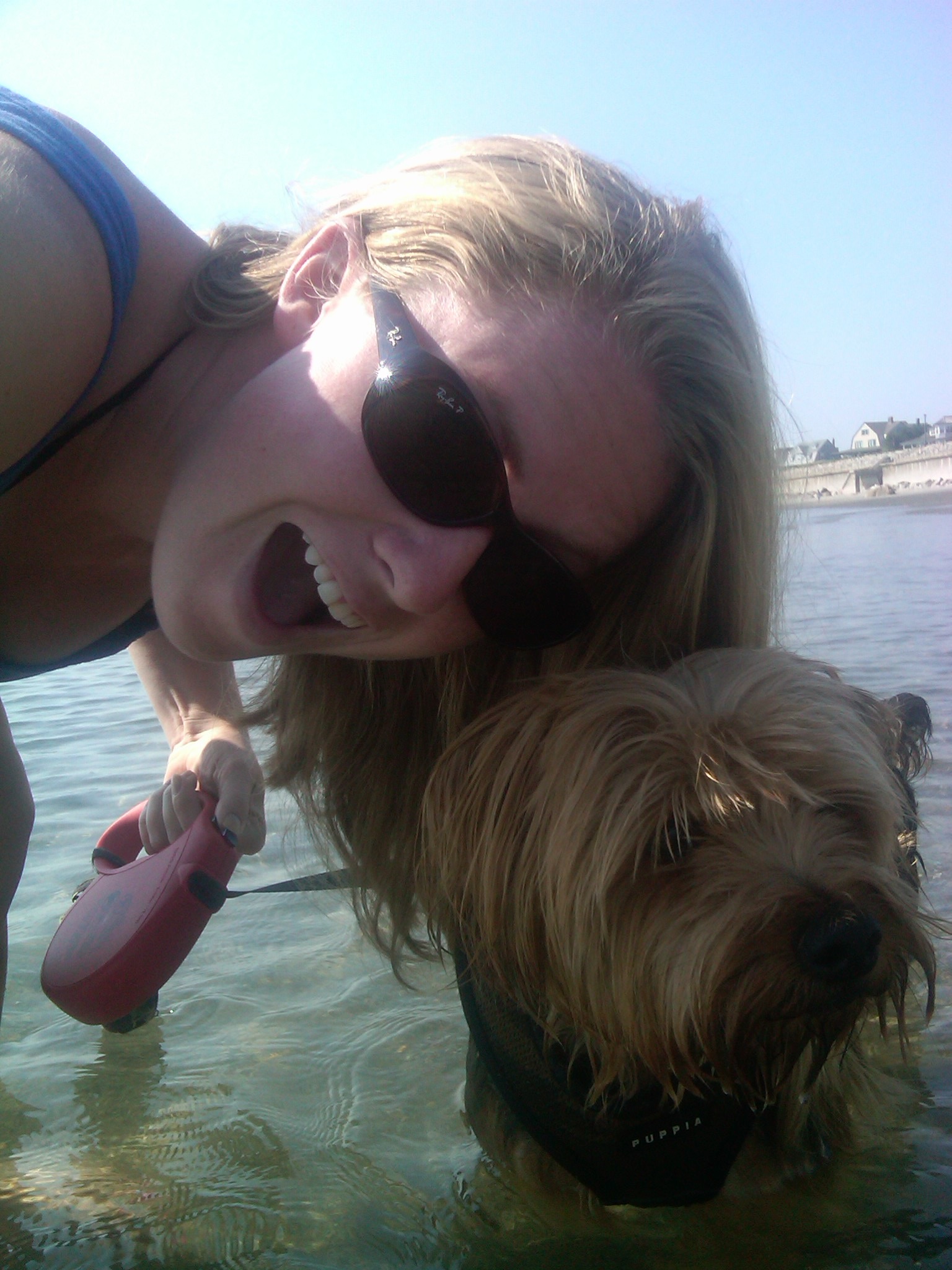 Dog Sitting Day 3: Leg licking and the beach ... — image 6
