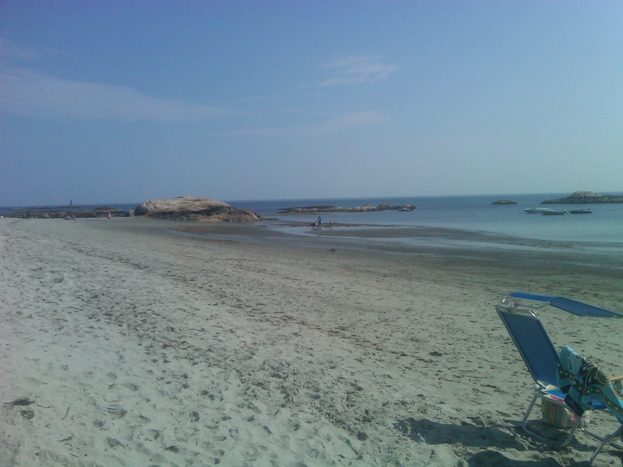 Dog Sitting Day 3: Leg licking and the beach ... — image 8