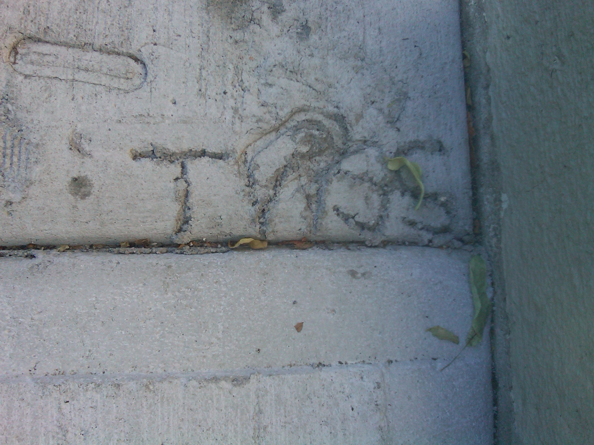 Wet Cement? CHECK! — image 2