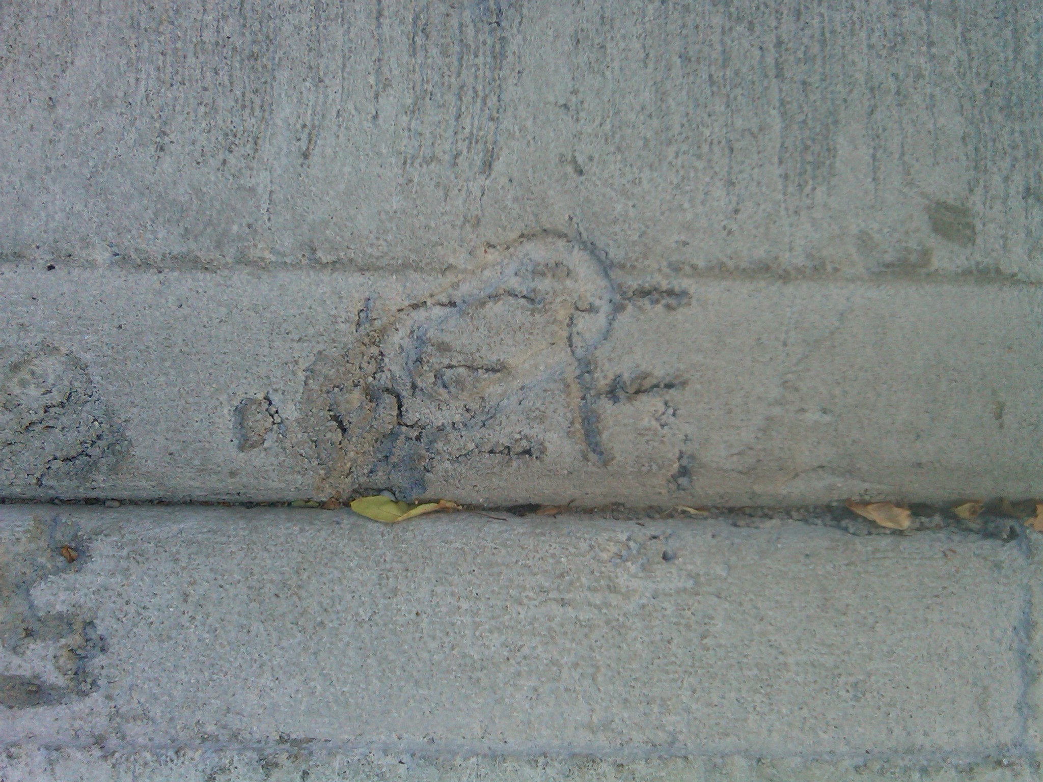 Wet Cement? CHECK! — image 3