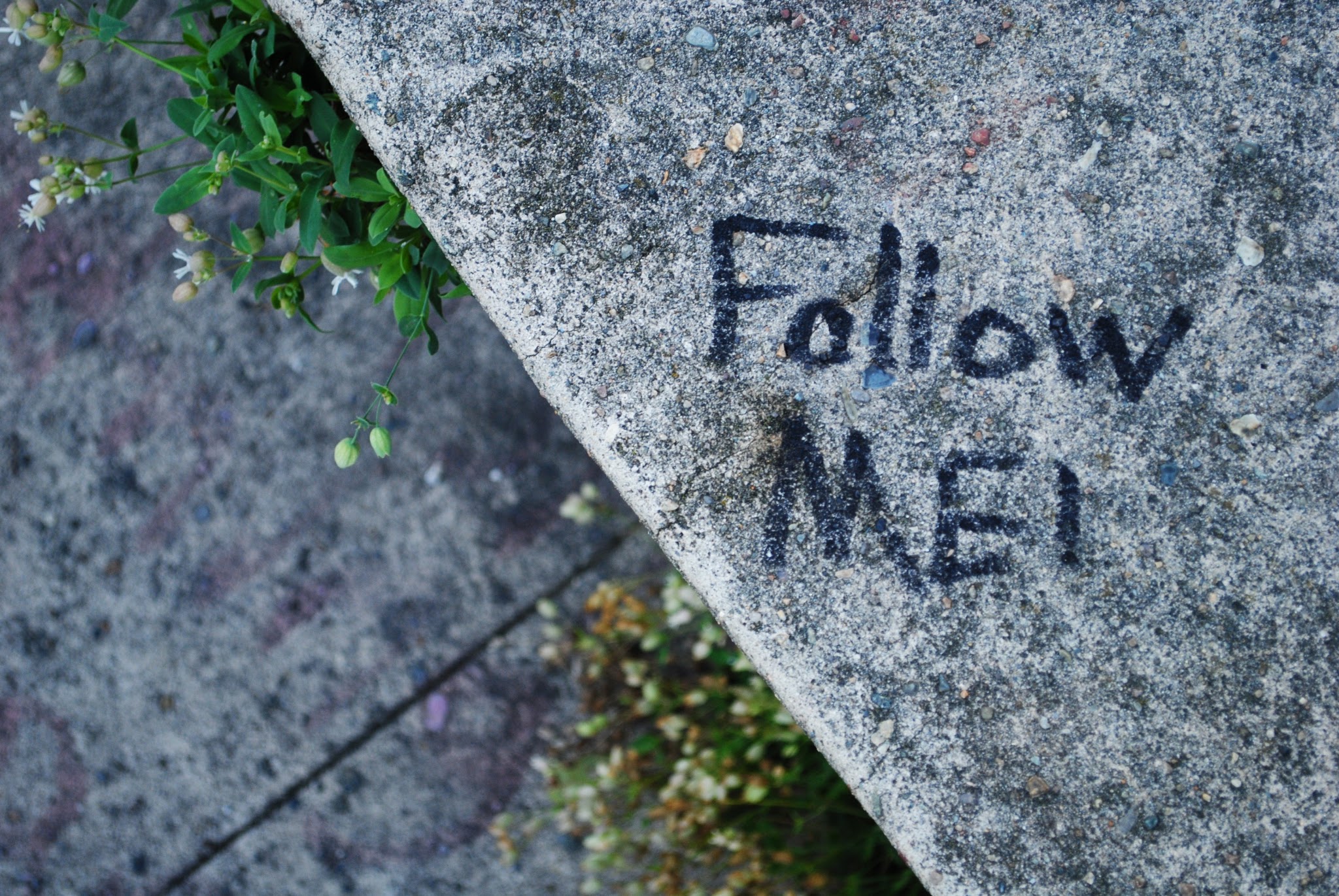 Graffiti... — image 5