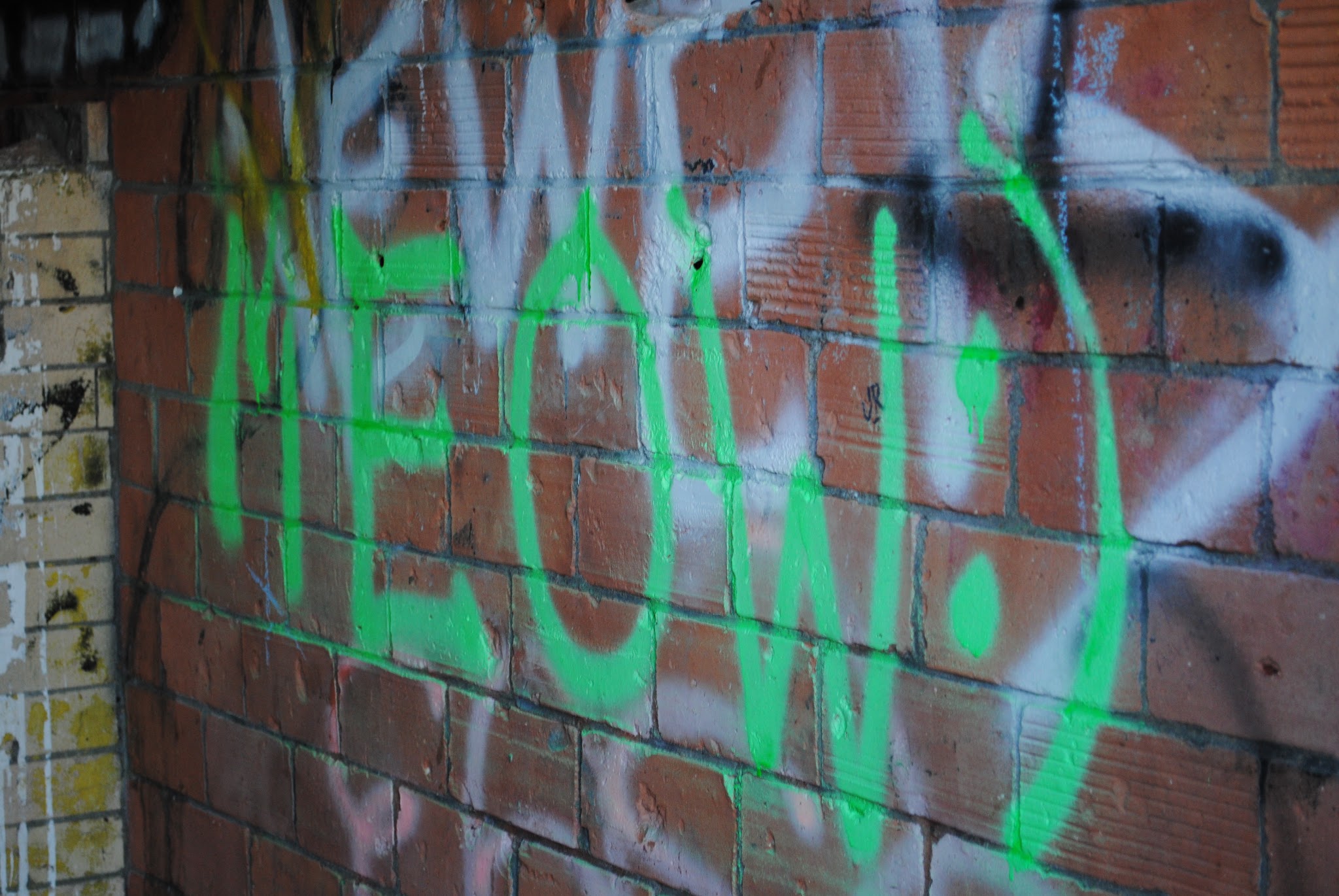 Graffiti... — image 7