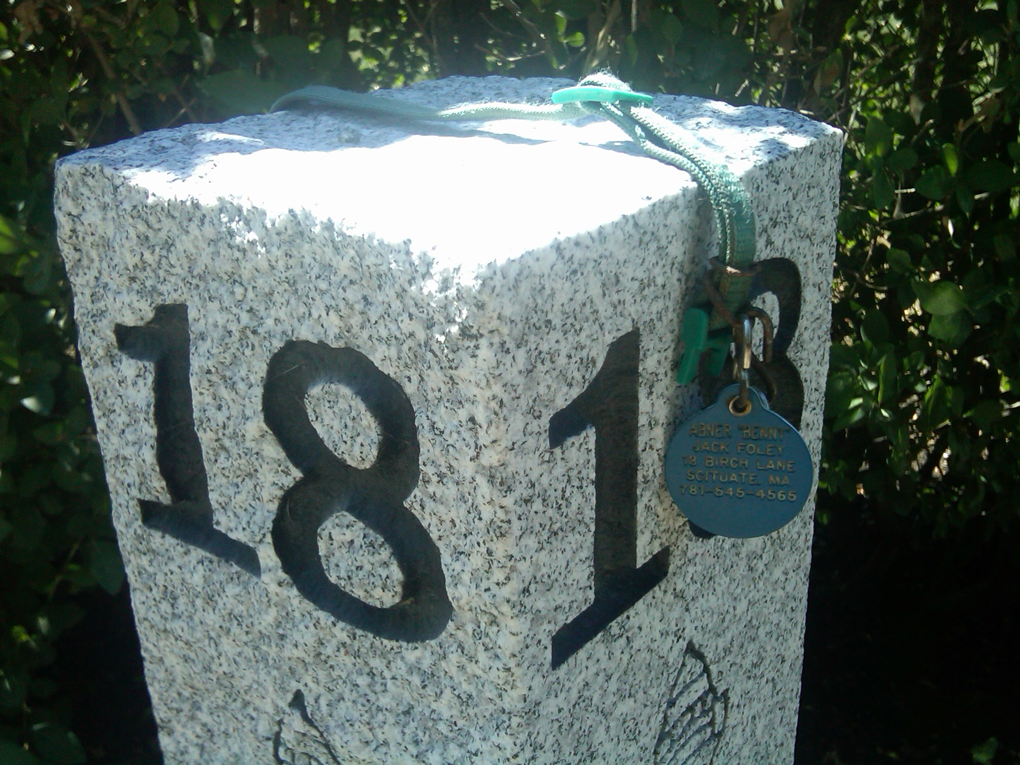 A Giant Tribute ... — image 3