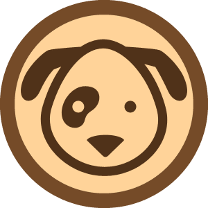 21st Century Girl Scouts — image 2