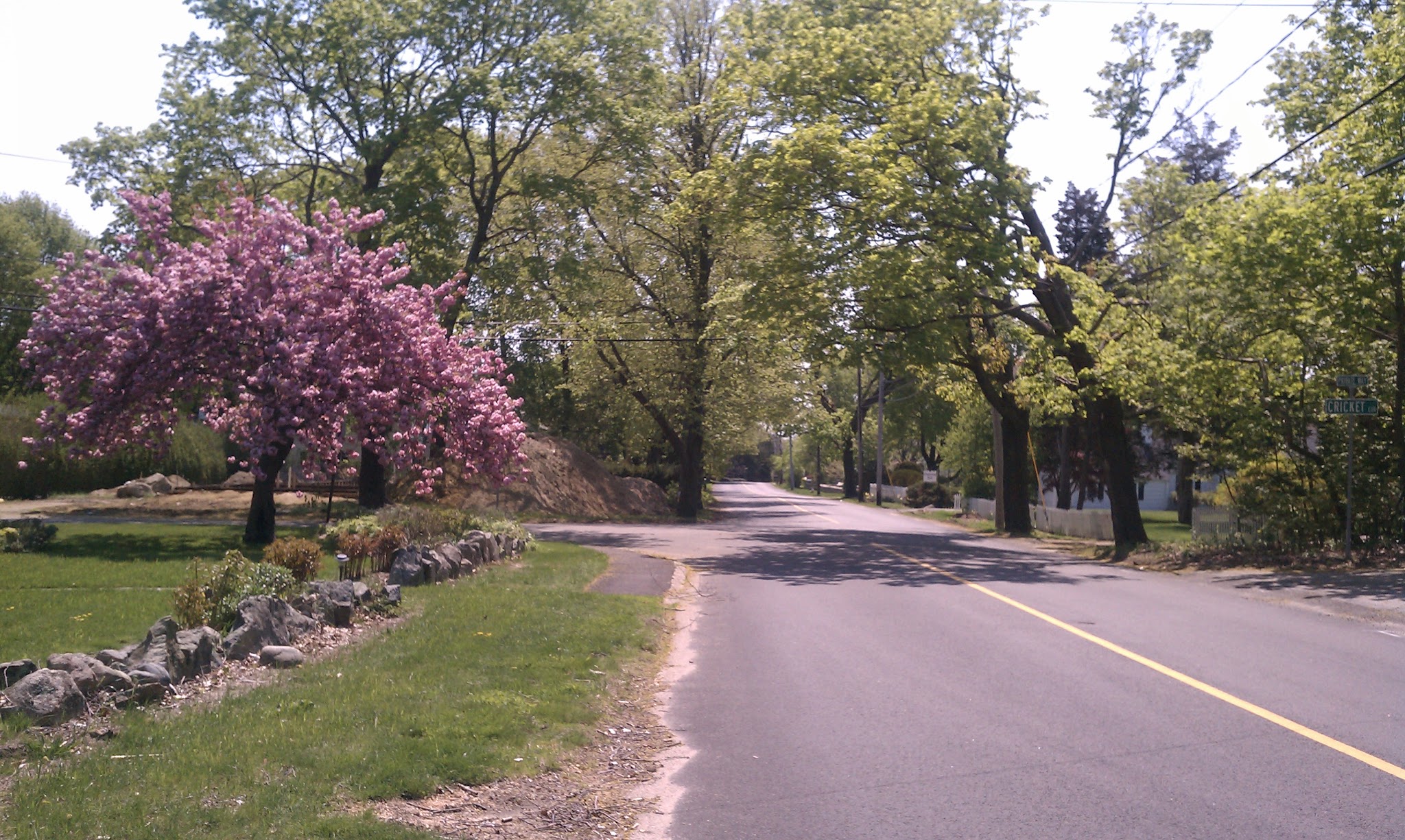Just your average Suburban Saturday — image 3