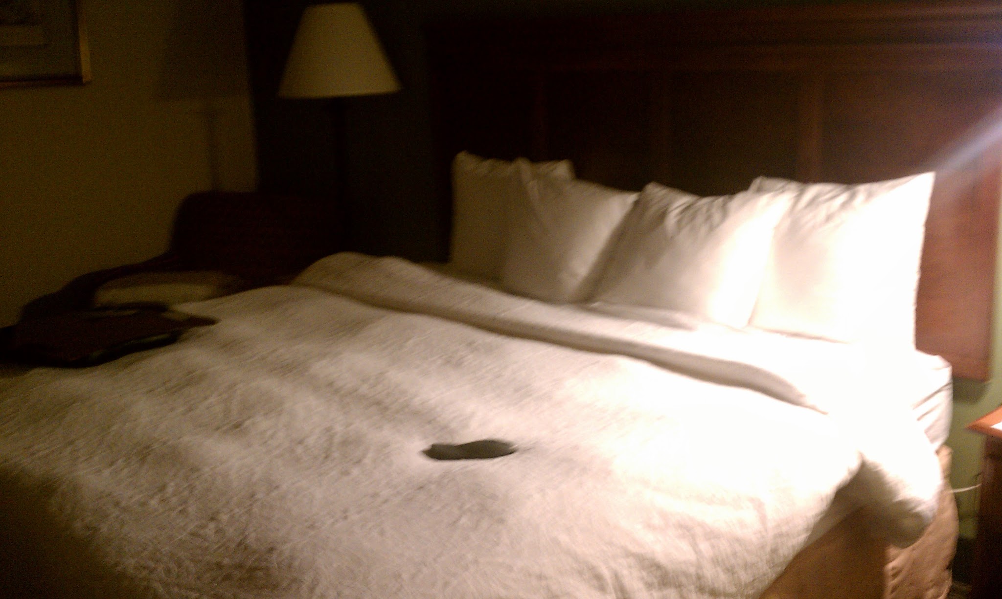 Hotel Rants (but no Raves) — image 3