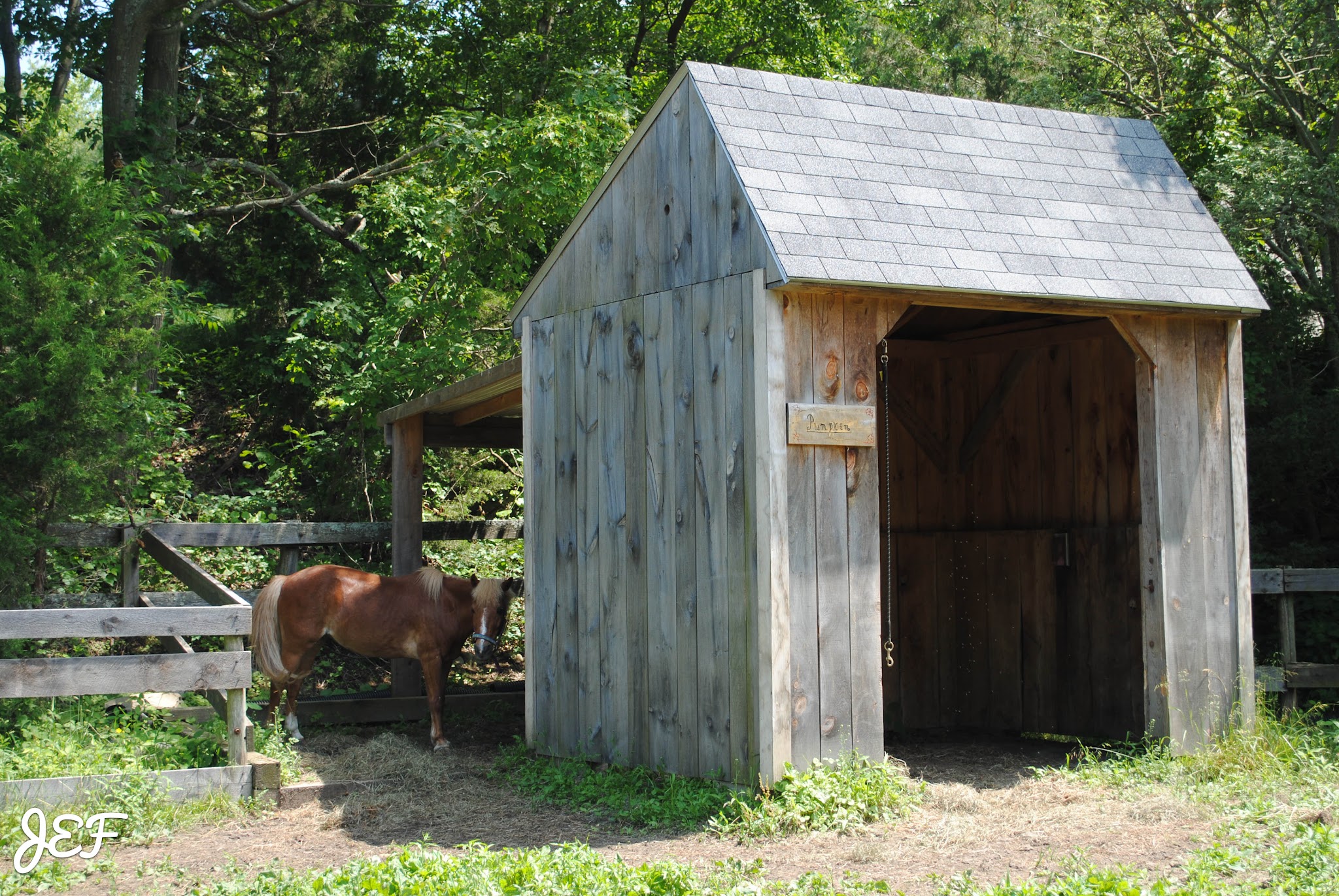 Farm Time. — image 6
