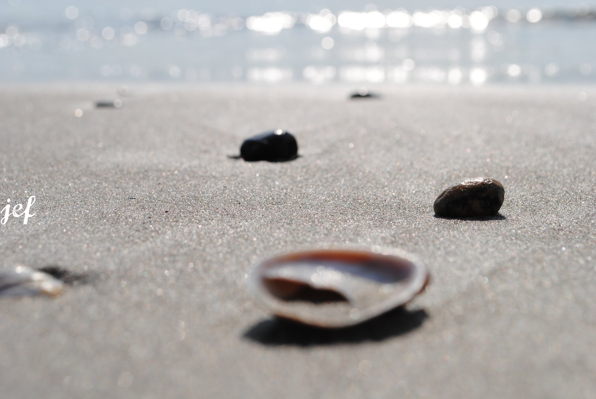 One Shell. Four Ways. — image 2