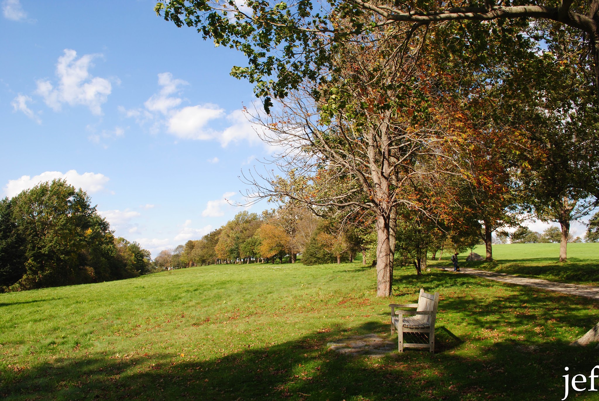 Foliage Fun — image 2