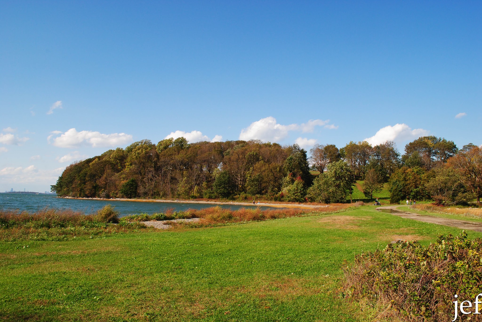 Foliage Fun — image 4