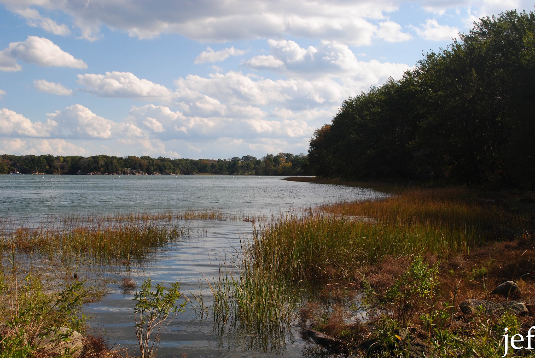 Foliage Fun — image 8