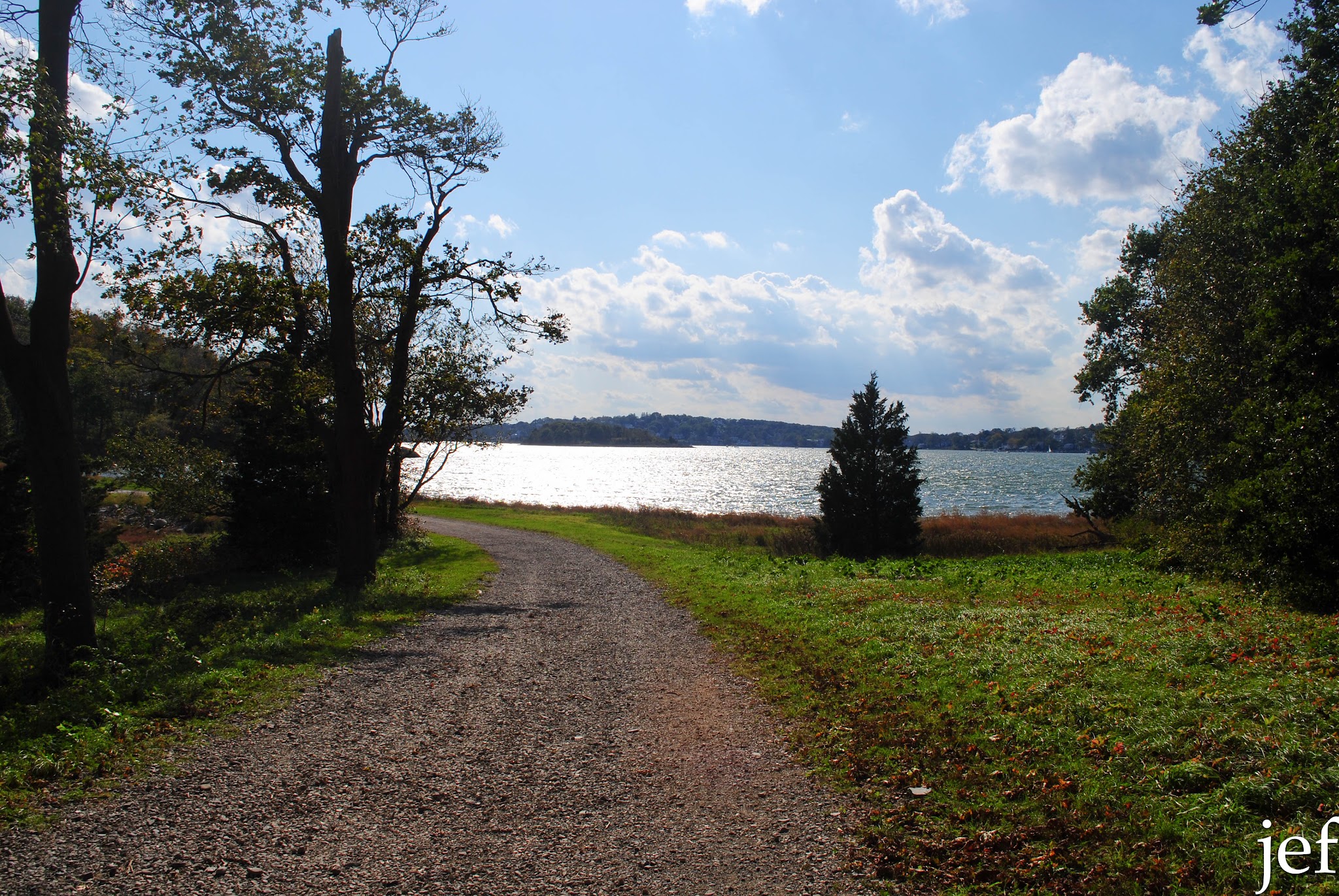 Foliage Fun — image 9