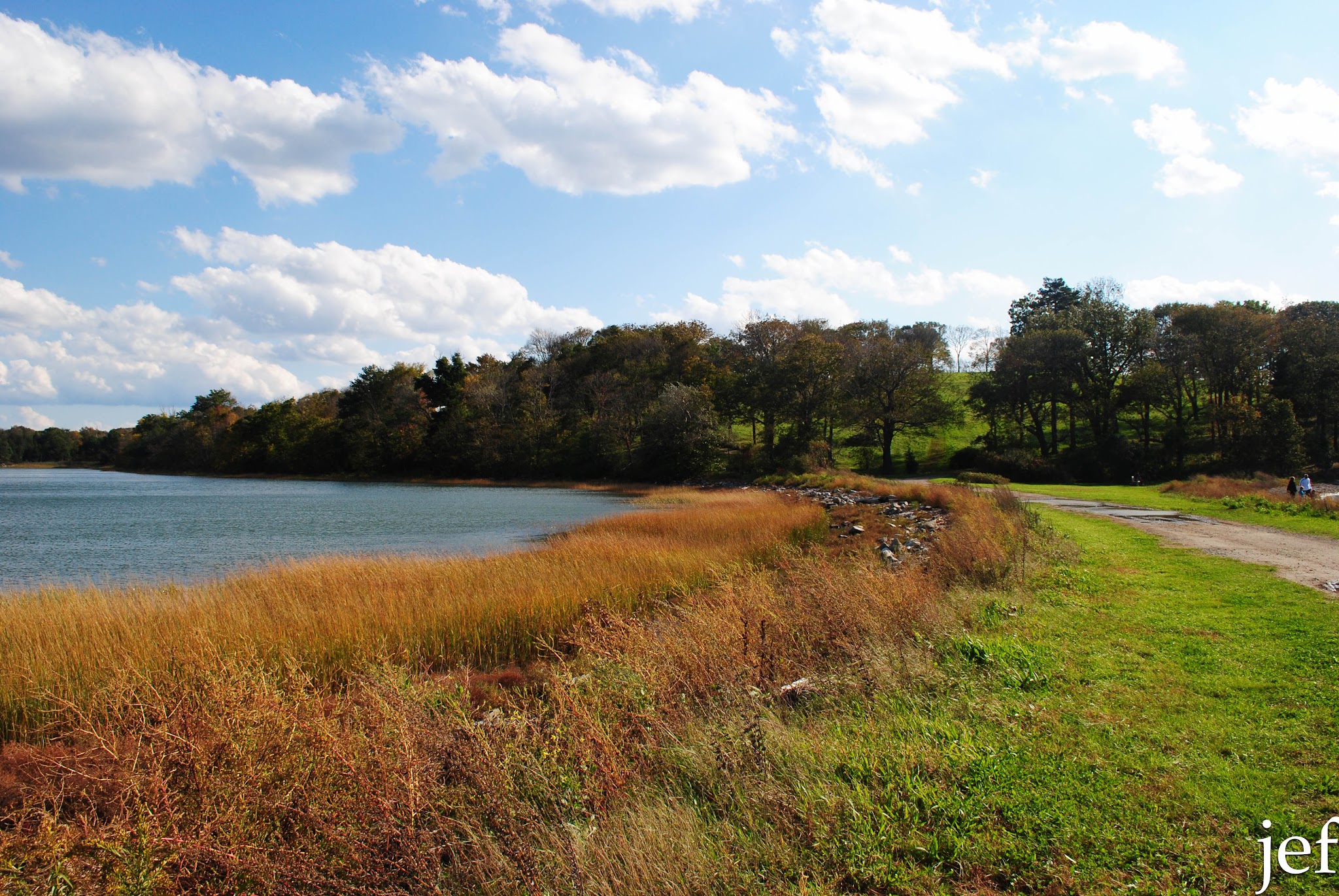 Foliage Fun — image 11