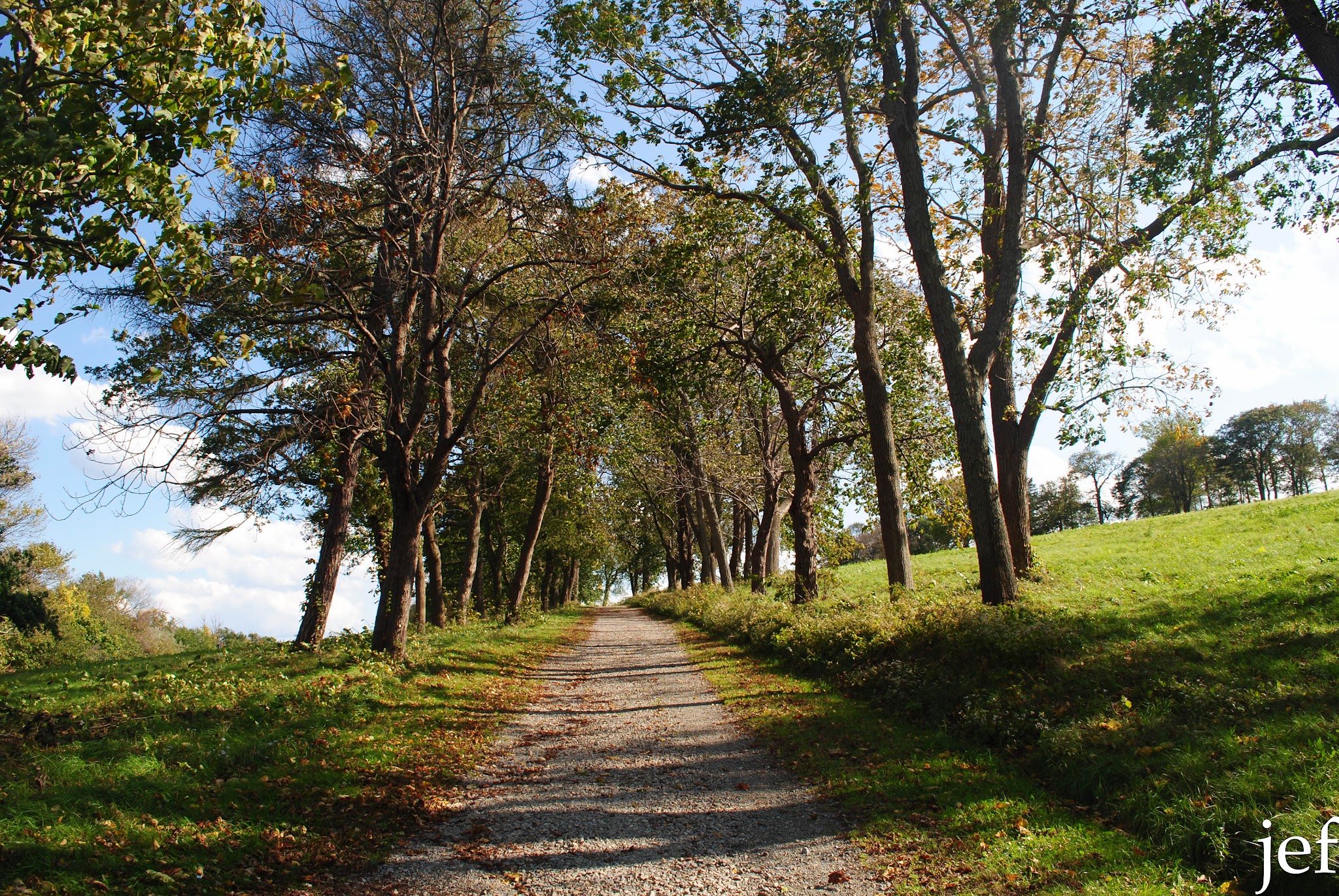 Foliage Fun — image 12