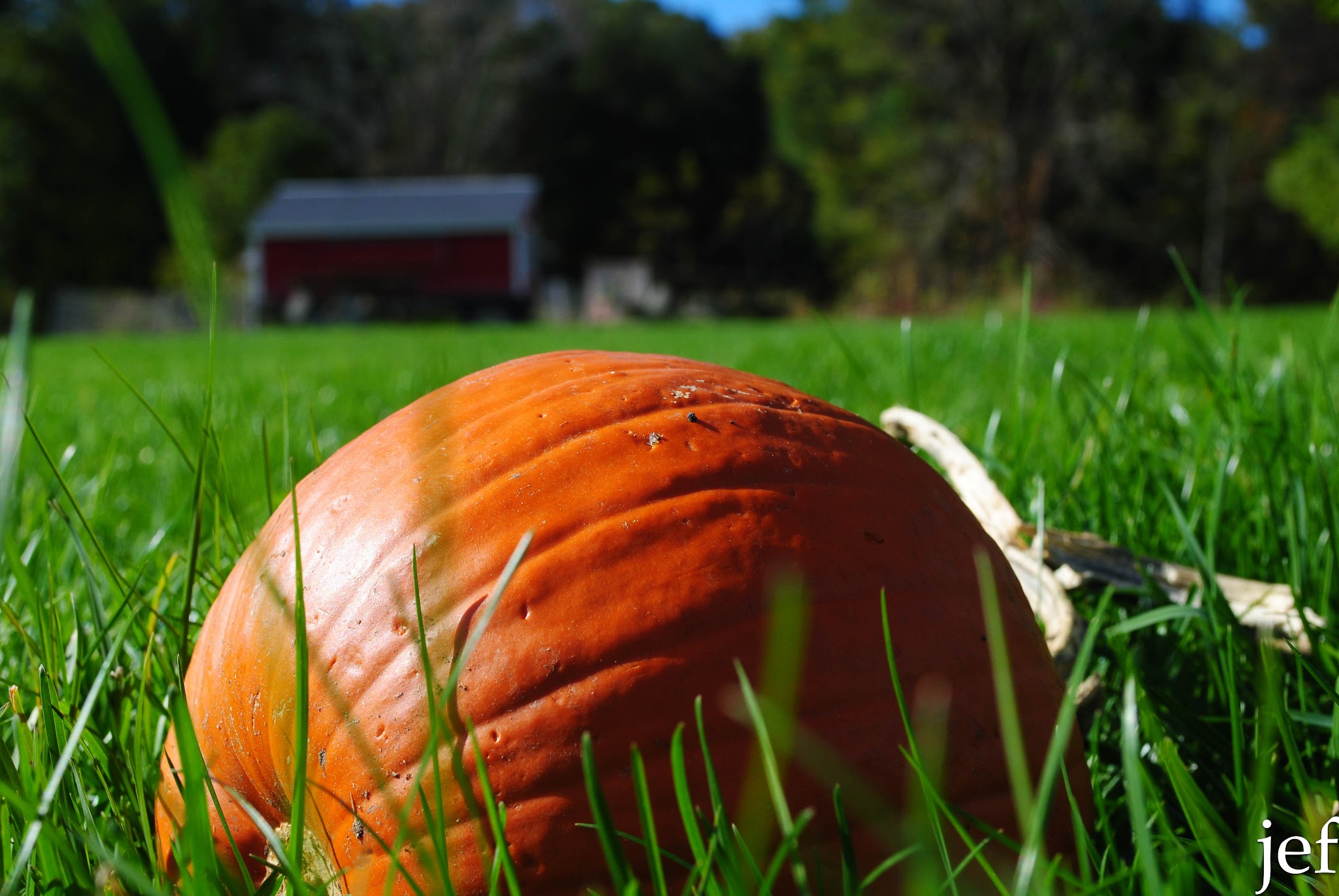Big Ole Red Barn — image 3