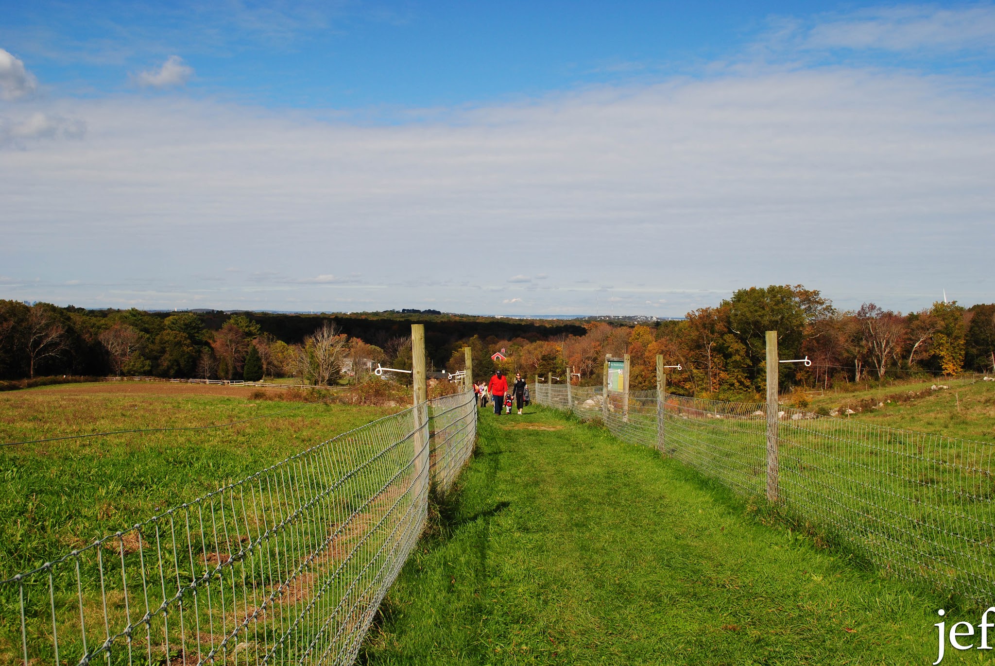 Big Ole Red Barn — image 6