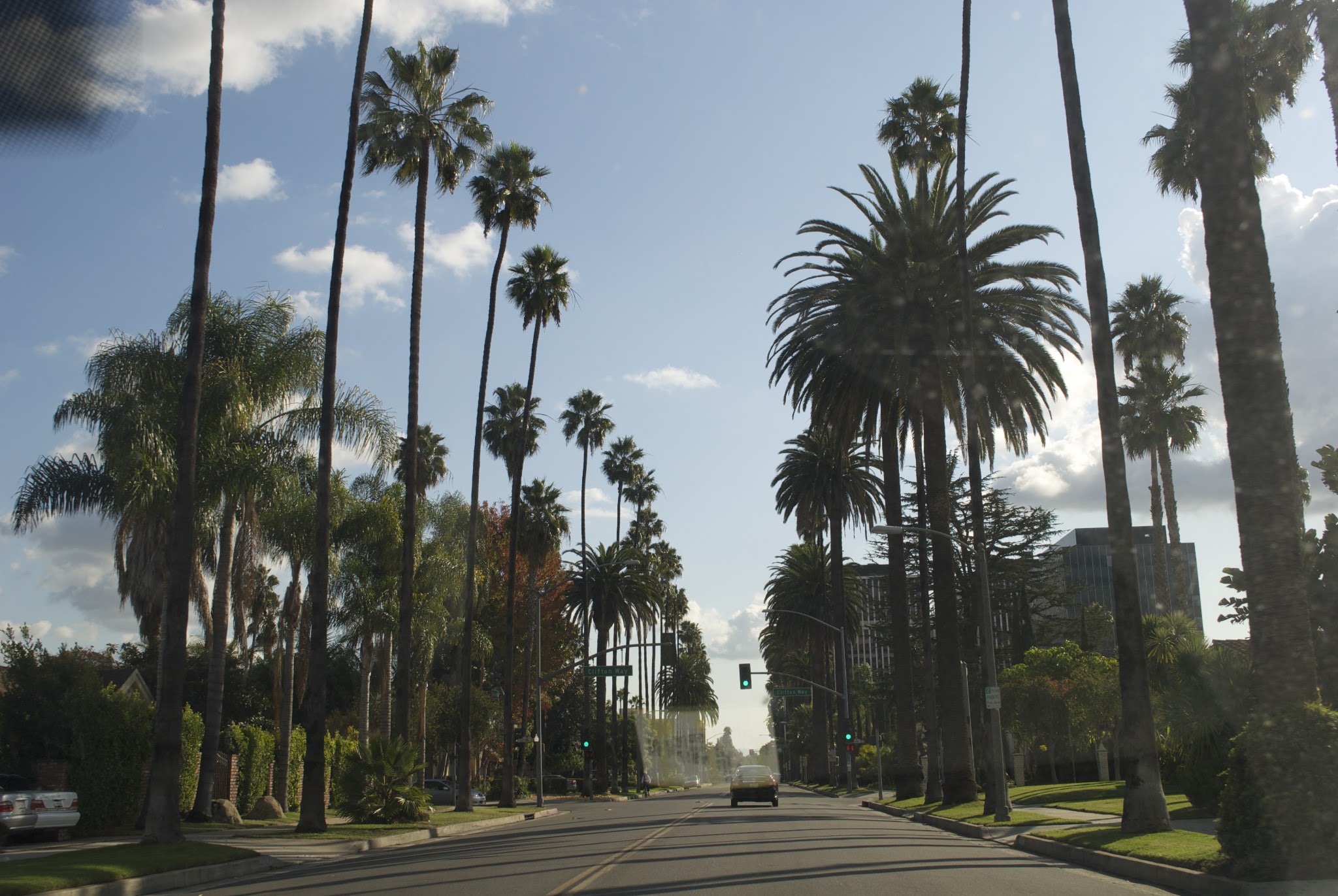 A Rain Day for LA (Day 9) — image 4