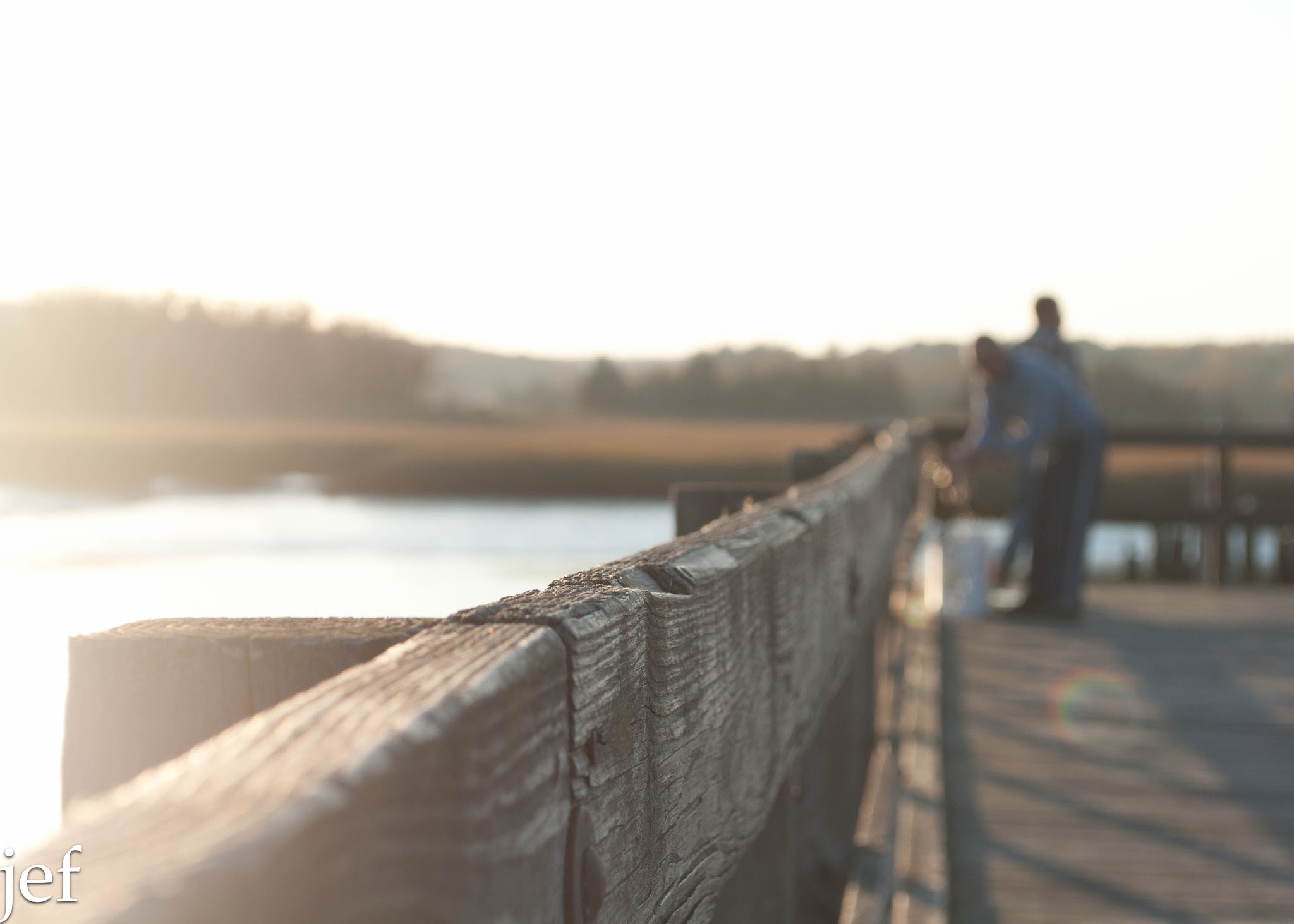 On the Dock — image 4
