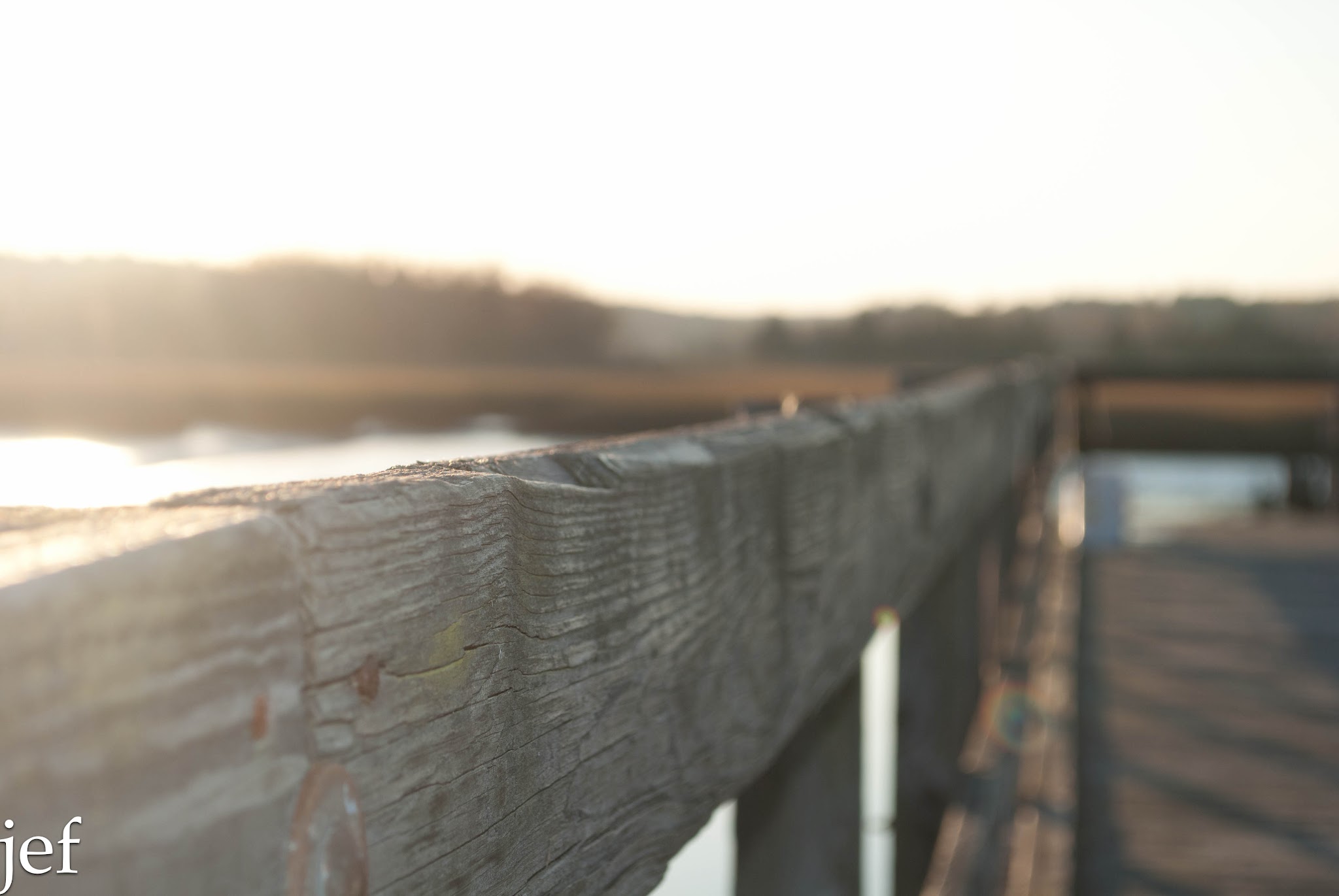 On the Dock — image 3