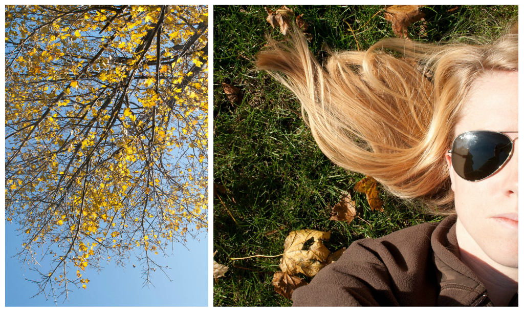 Fall in the Yard — image 4