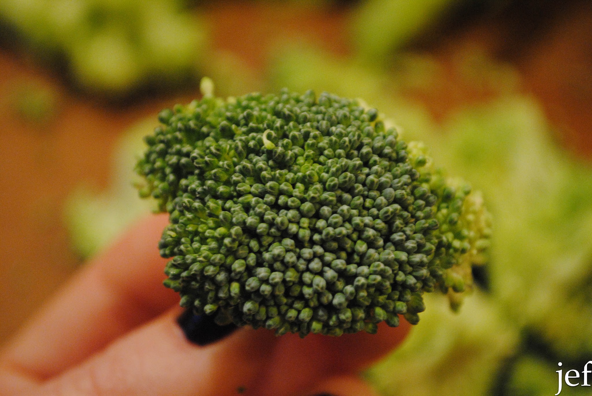 It's a Broccoli Party — image 1