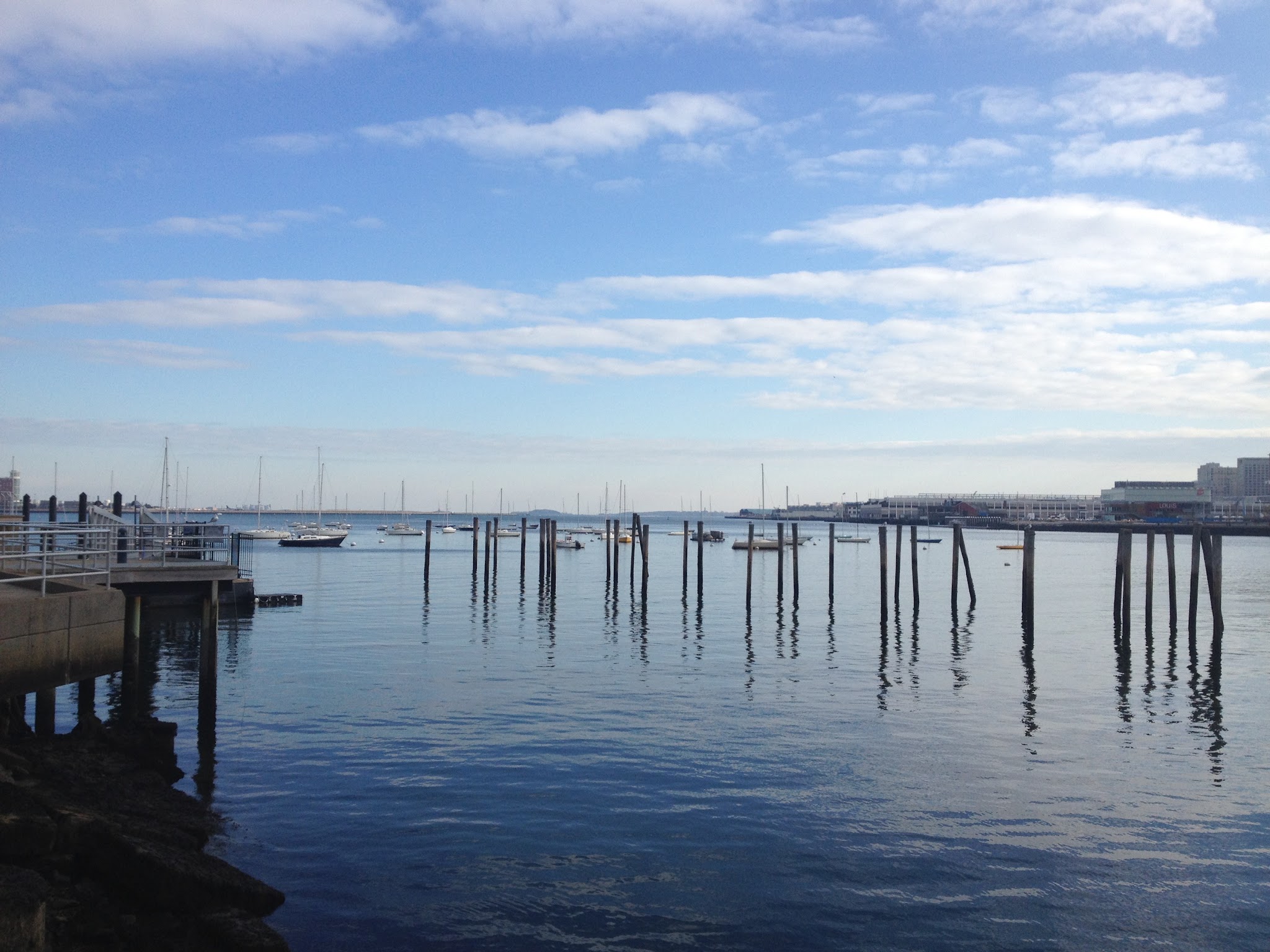 Time for Seals and Sneakers — image 1