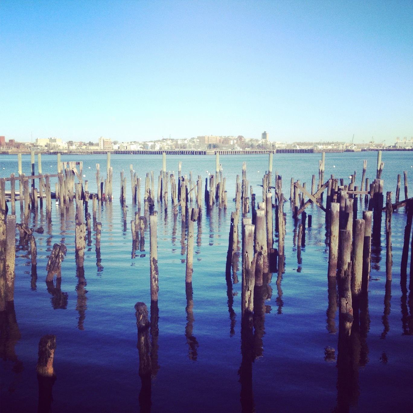 Weekend Recap — image 7