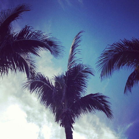 (brief) beach life. — image 2