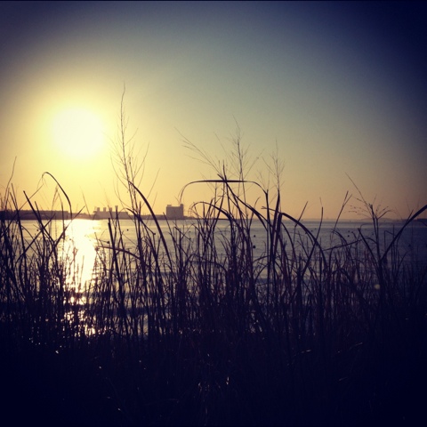 oh hello there Spring — image 2