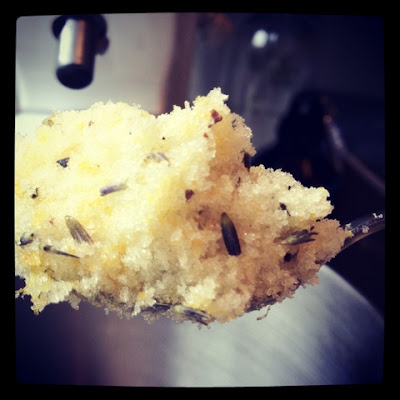 "romantic" lemon lavender scones — image 2