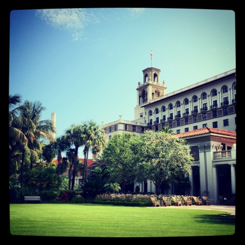 weekend snap happy — image 8