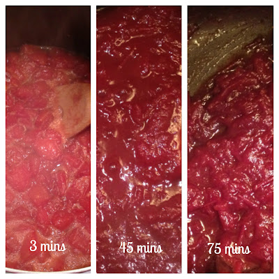 sticky (but delicious) tomato jam — image 3
