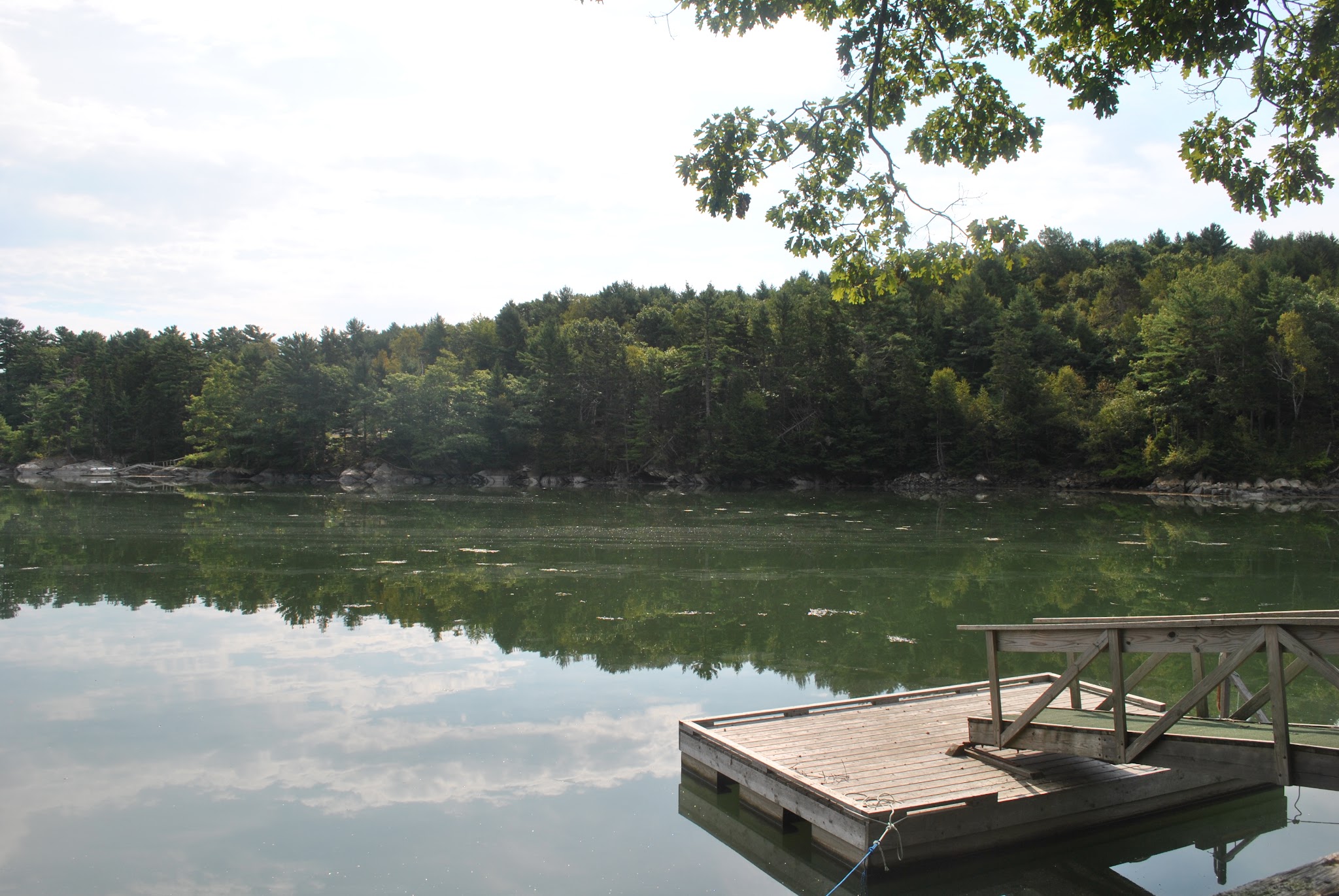 maine warms my heart — image 3