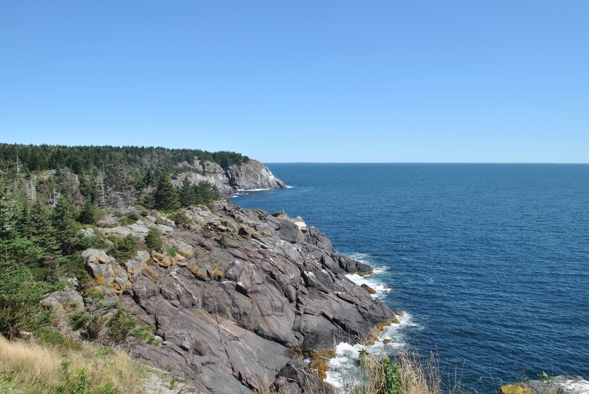 maine warms my heart — image 7