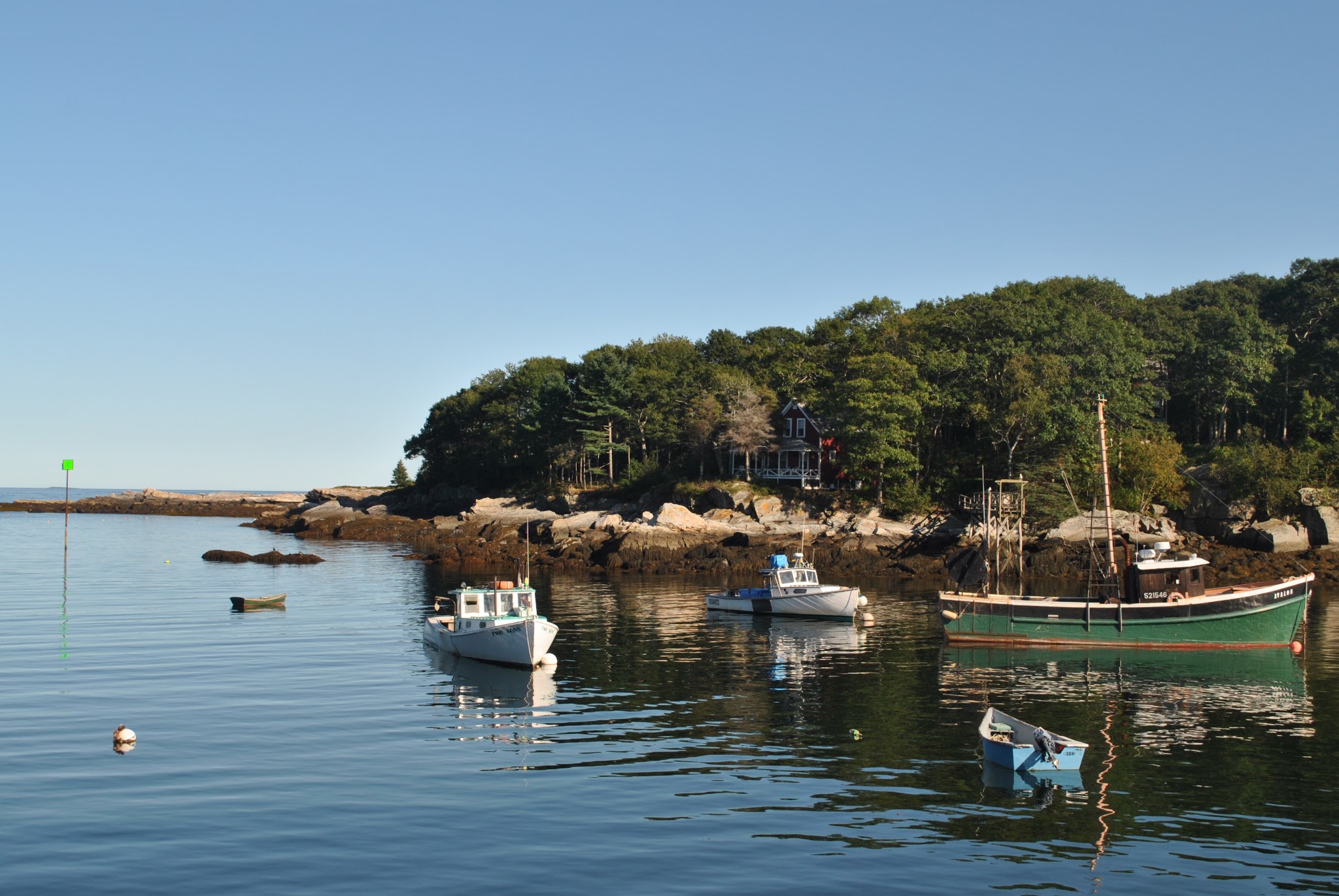 maine warms my heart — image 5