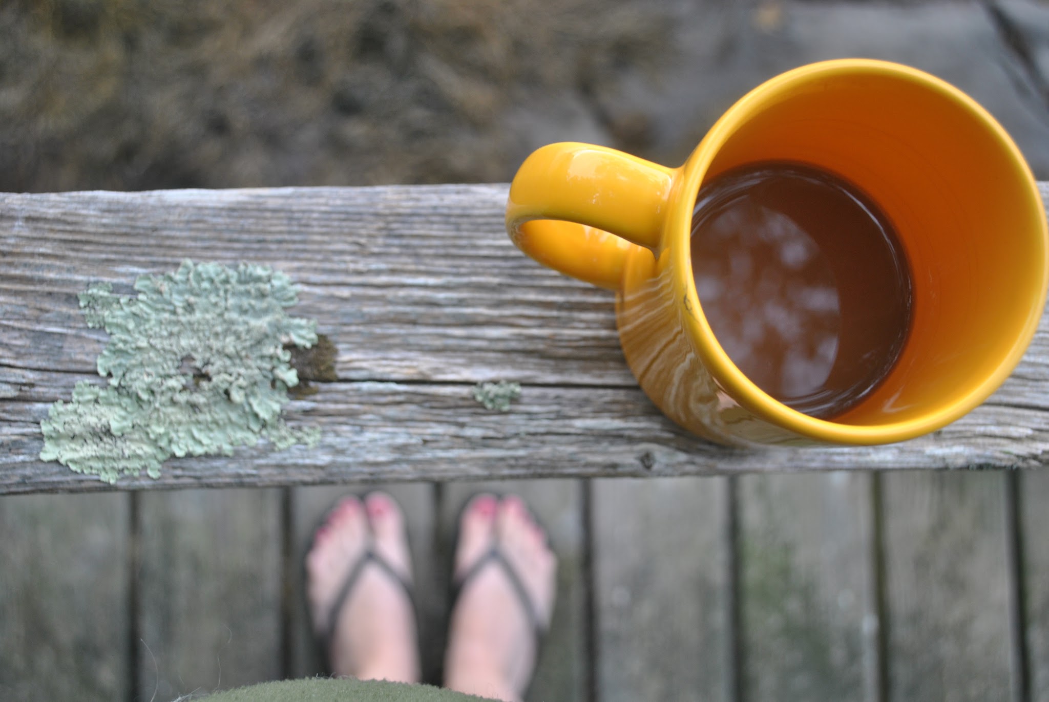 maine warms my heart — image 10