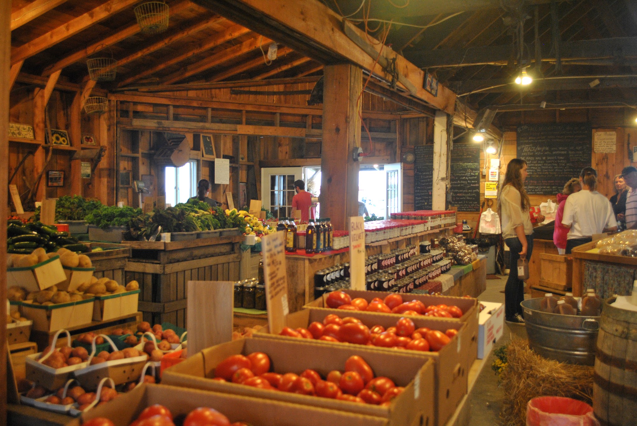 maine warms my heart — image 11