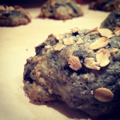 blueberry oat scones