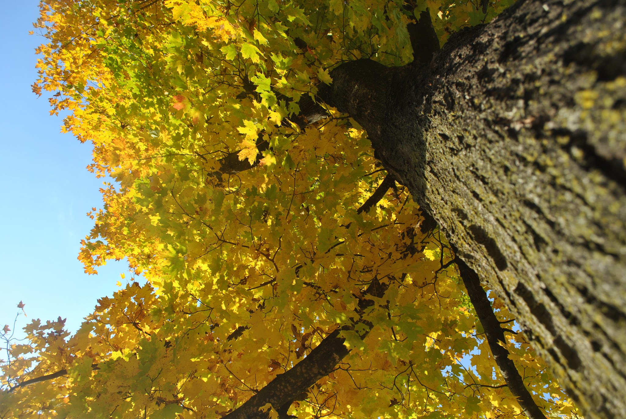 Resting in Vermont — image 4