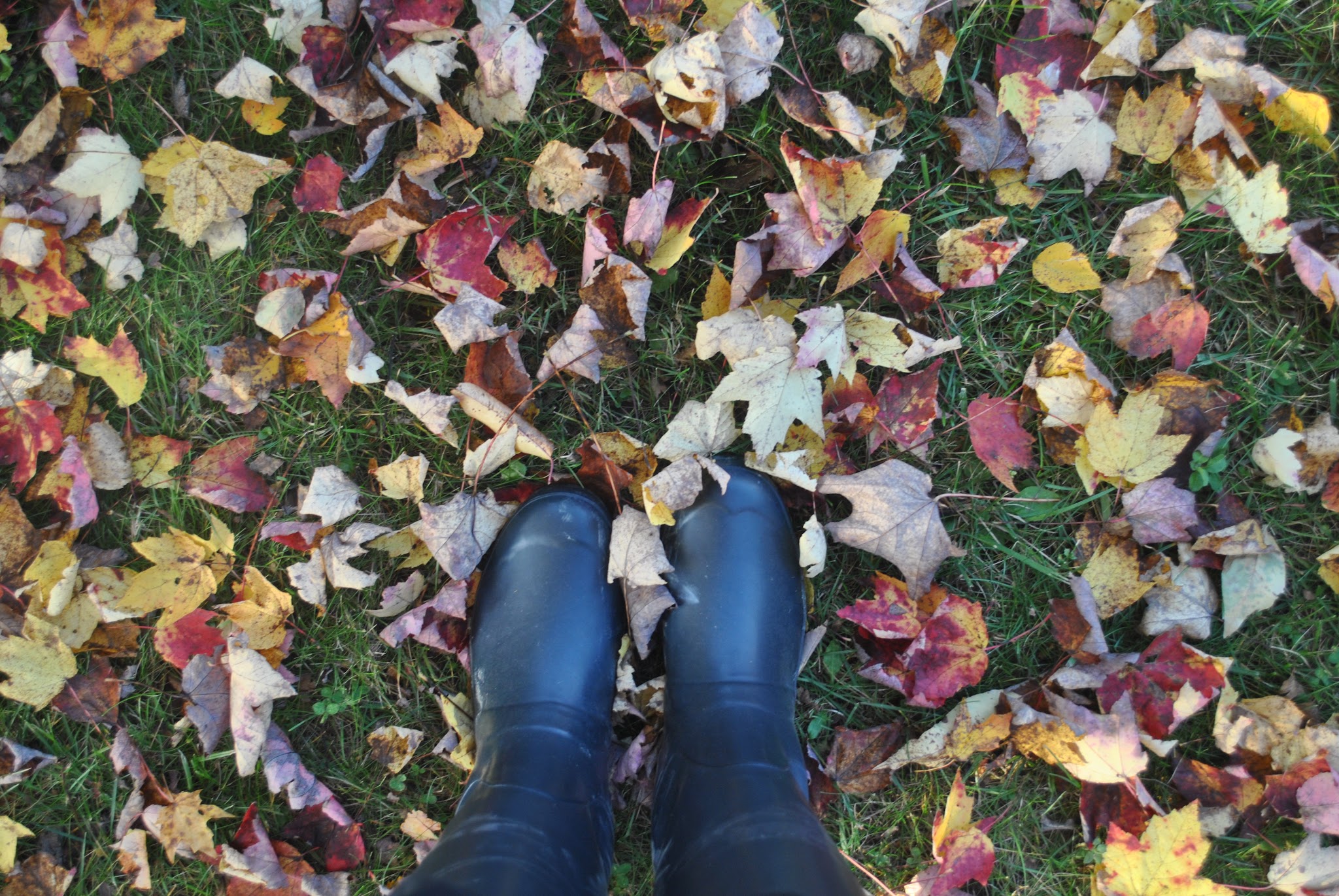 Resting in Vermont — image 1