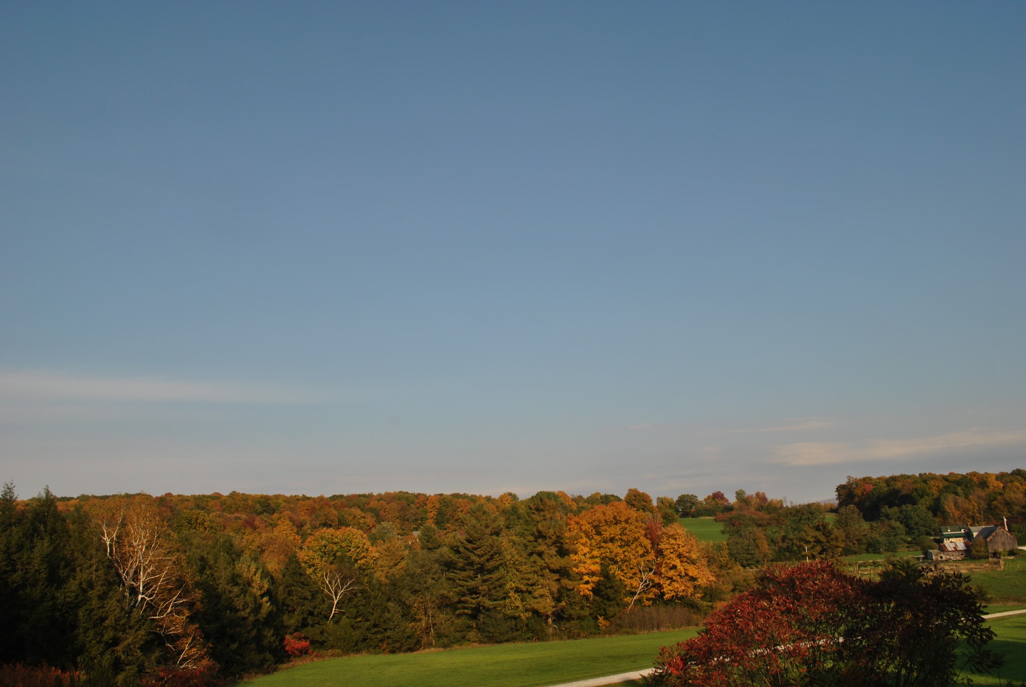 Resting in Vermont — image 9