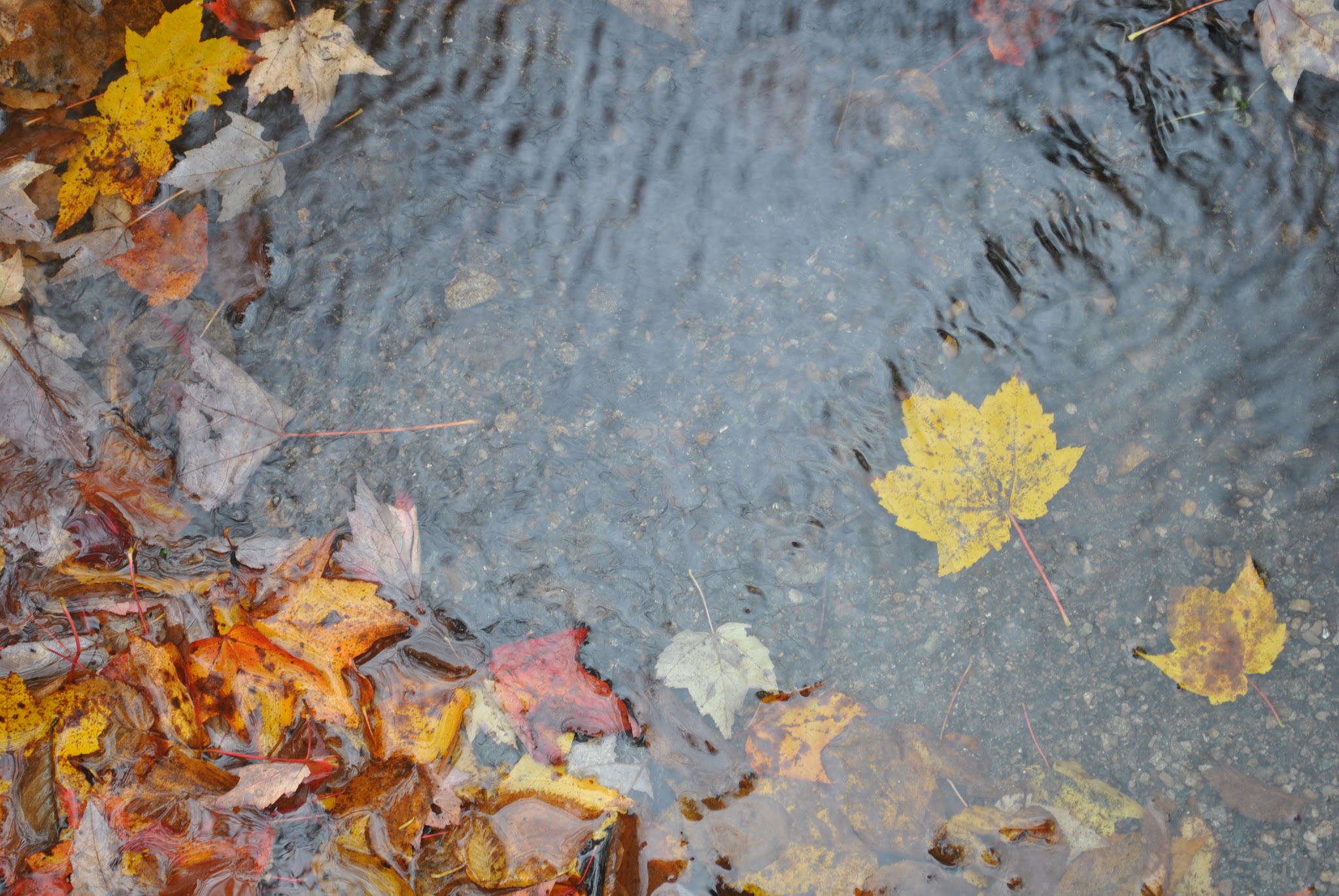 Resting in Vermont — image 8