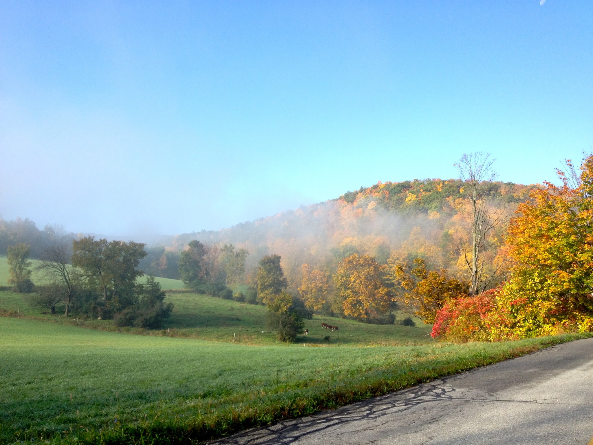 Resting in Vermont — image 11