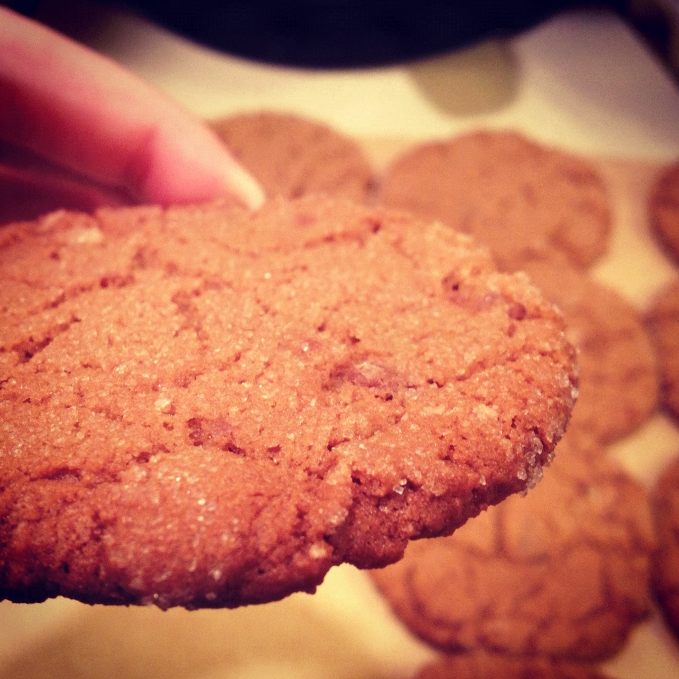 PB Molasses Heath Chip (Amazing) Cookies