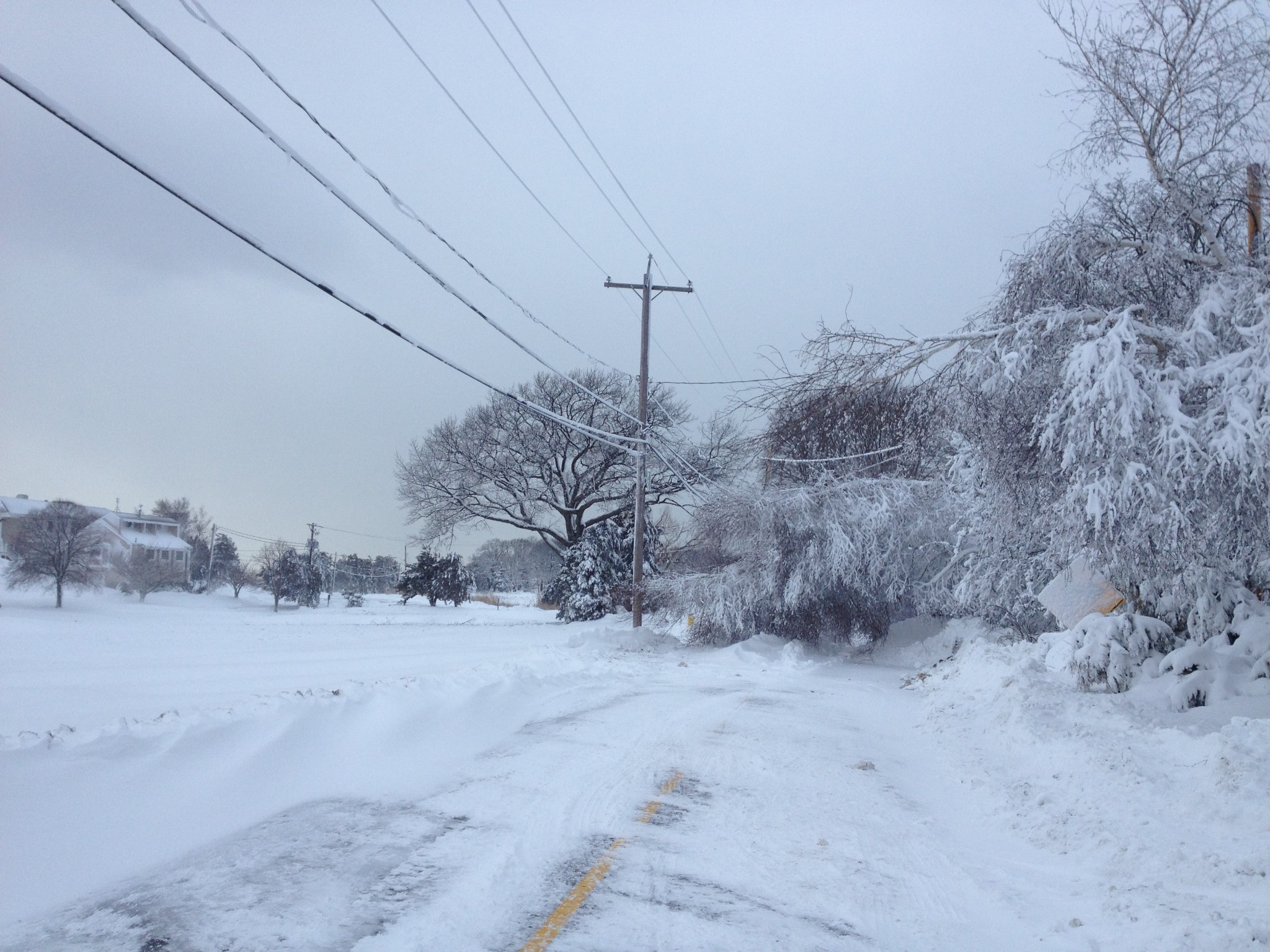 Recovering from Nemo — image 3