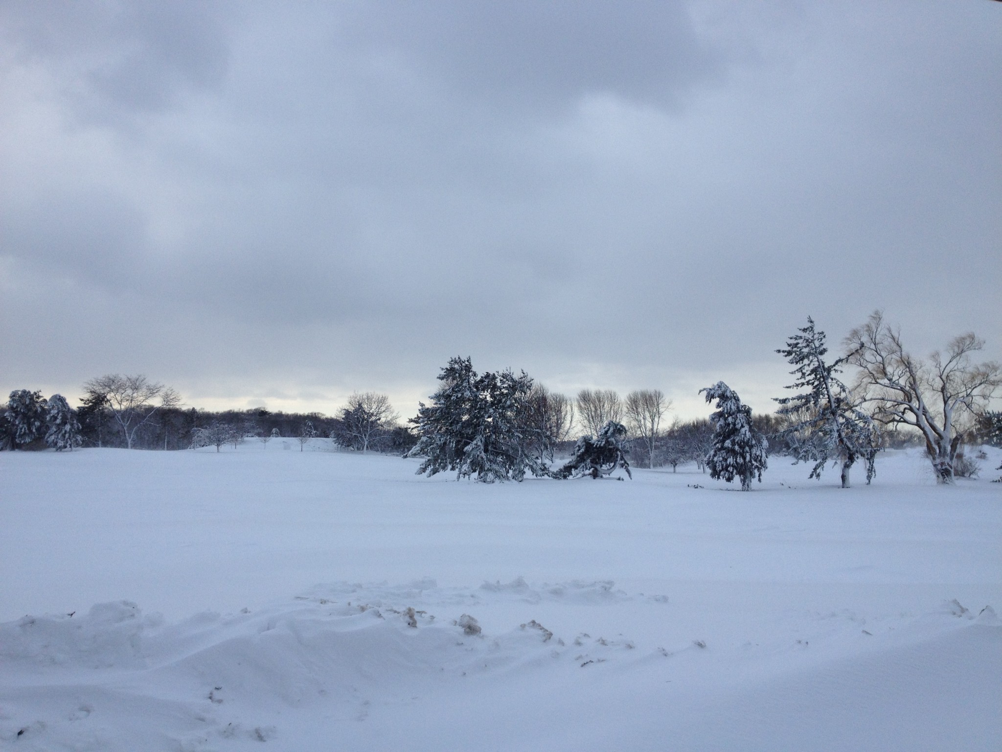Recovering from Nemo — image 4