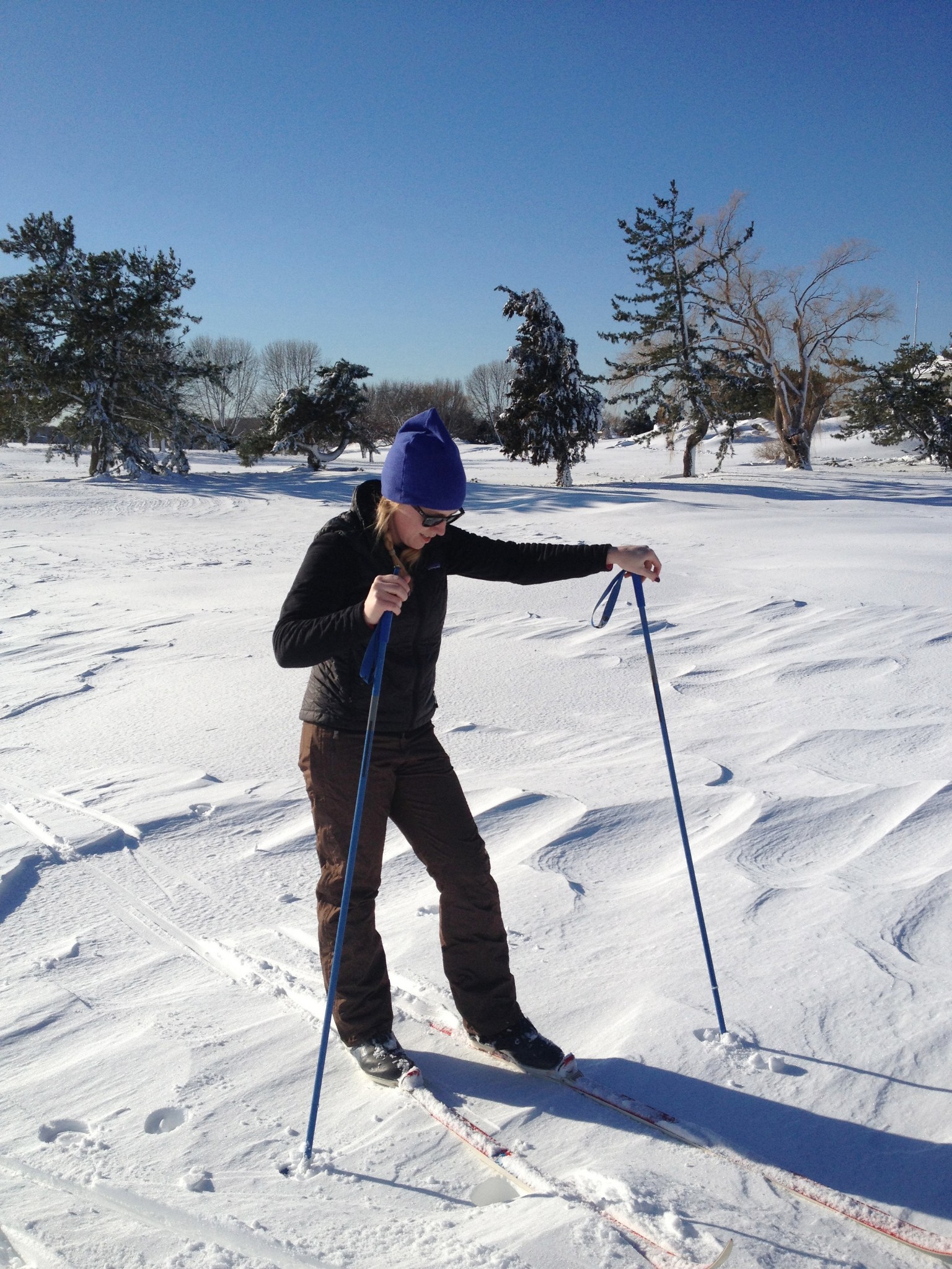 Recovering from Nemo — image 9