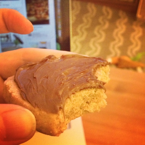 Imitation Biscoff Cookies