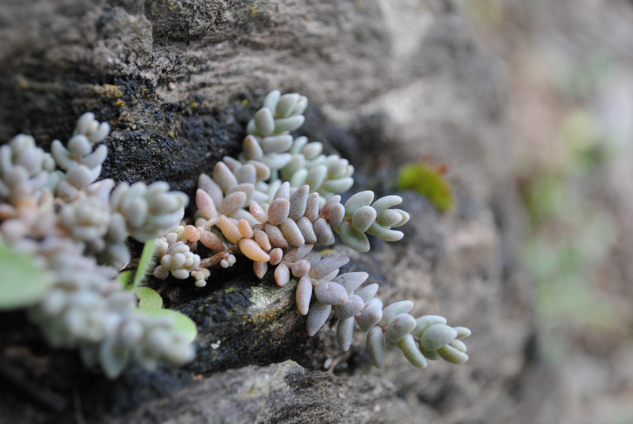 Day 6: To the Ocean! — image 5